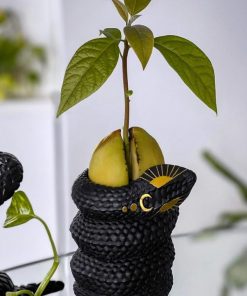 Rarewear.shop2dd63d7a5f 2