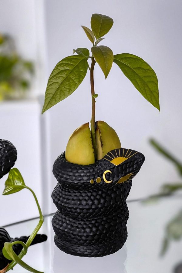 Rarewear.shop2dd63d7a5f 2