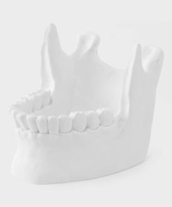 Rarewear.shop3b7c91f41e 3