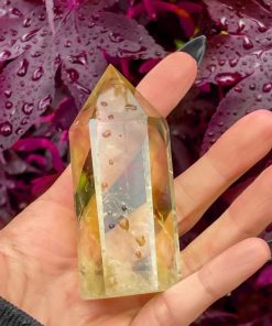 Rarewear.shop3c6205706d 1