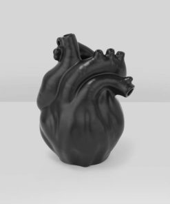 Rarewear.shop58b11991eb 2